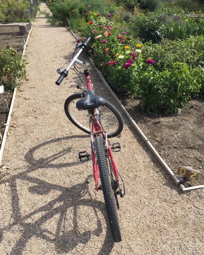 Red bicycle standing in a gravel path. Flowers and vegetables grow along the sides of the path.